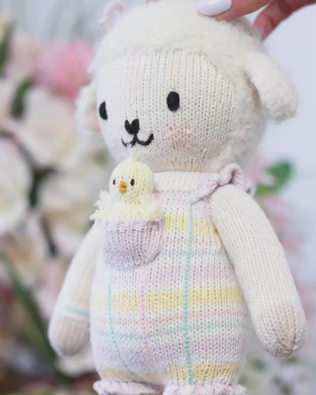 Mabel the lamb